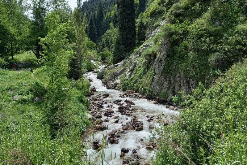 В Алматы в ущелье Алма-Арасан спасены четыре девушки