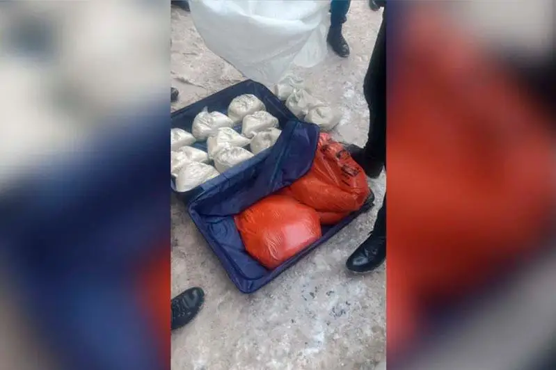 37 килограммов гашиша изъяли у ОПГ в Нур-Султане