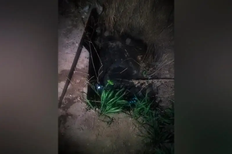 Káriz shuńqyryna qulap ketken sábı kóz jumdy - Almaty oblysy
