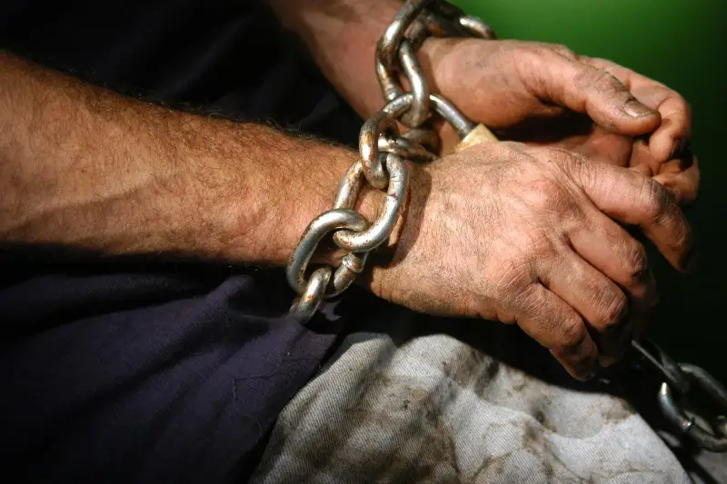 STOP trafık: Adam saýdasyna qatysty 68 qylmys anyqtaldy