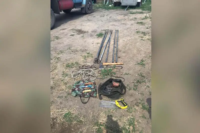 Серийных скотокрадов задержали в СКО