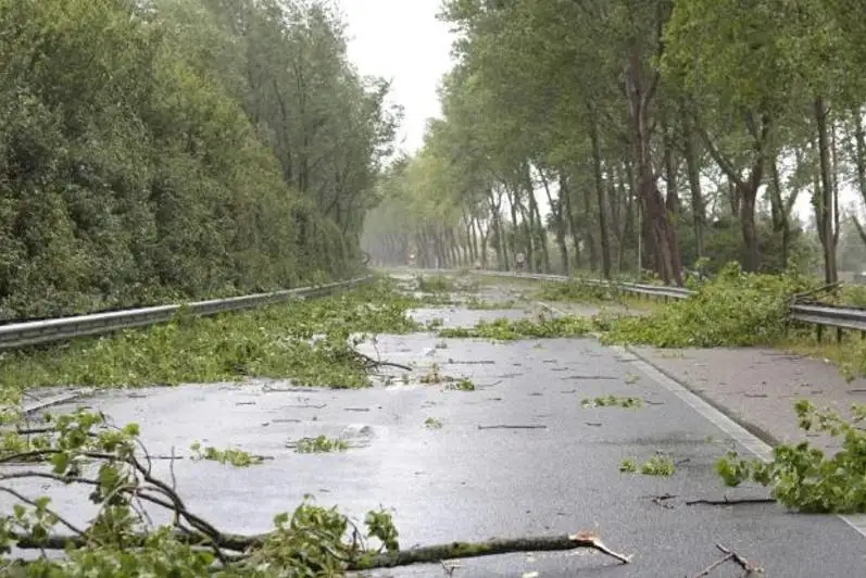 Шторм «Юнис» обрушился на побережье Бельгии