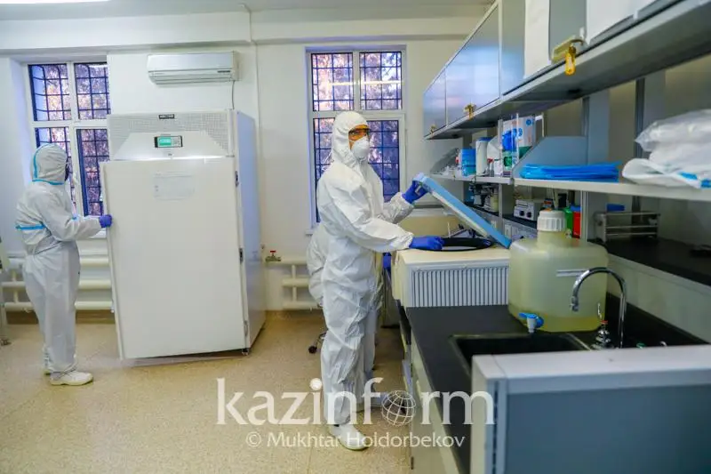 О строительстве завода в Жамбылской области по производству вакцины рассказал глава МОН РК