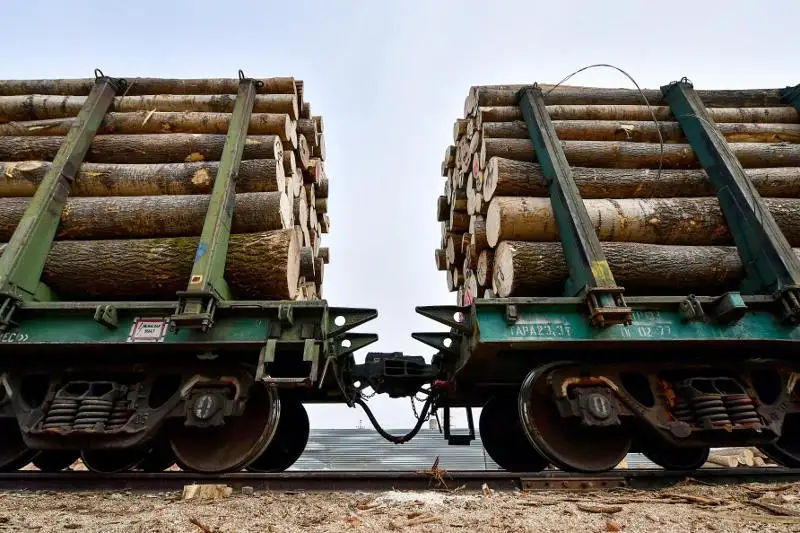 Об ограничении на вывоз горючего и лесоматериалов сообщили в погранслужбе в СКО