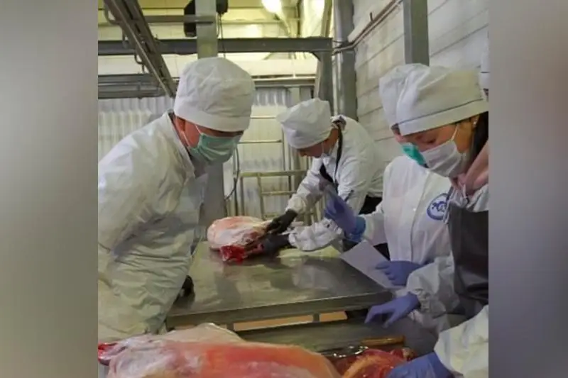 Карагандинская мечеть раздала более 12 тысяч килограммов мяса в первый день Курбан-айта