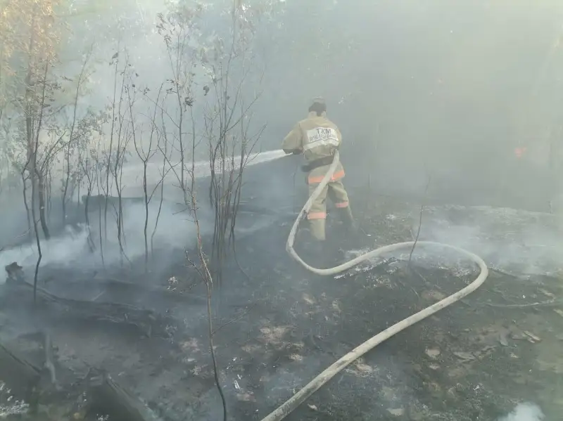 BQO-da 9 aýla otqa oranyp, 64 tonna pishen janyp ketti