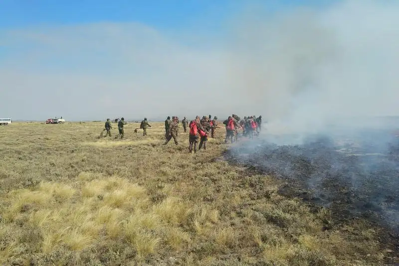 Около тысячи человек тушат степные пожары в Карагандинской области