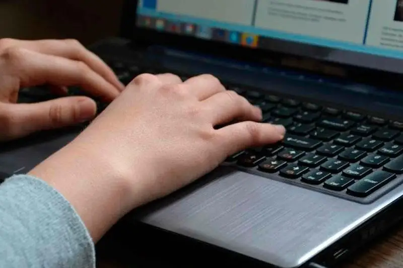 Подросток-мошенник продал несуществующий корм для скота карагандинцу