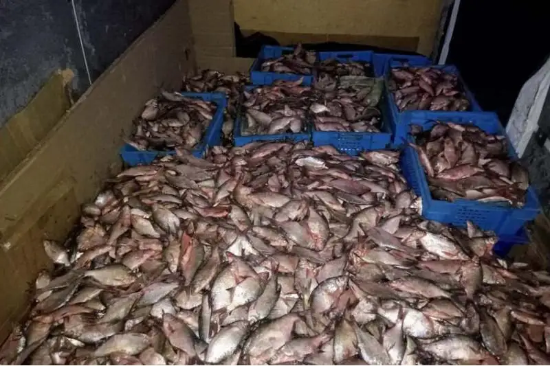 Тонну рыбы изъяли полицейские у браконьера в Алматинской области