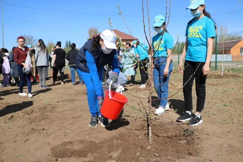 Более 100 саженцев яблони подарили победителям конкурса «ЭкоАсар – марафон добрых дел» в Нур-Султане