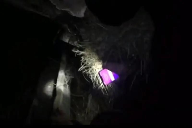 Ушедшего из дома семиклассника искали в Павлодарской области