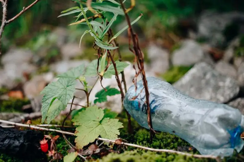 Жителей столицы призвали не мусорить на природе