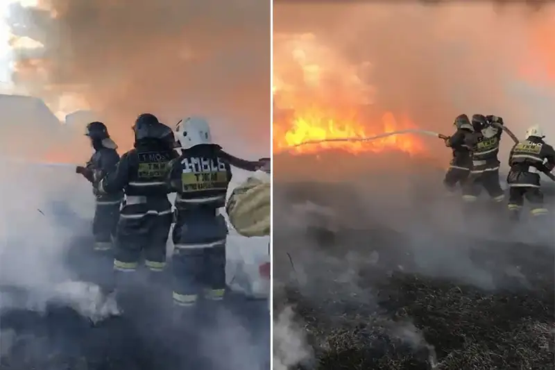 Камыш на площади в один гектар горит в Петропавловске