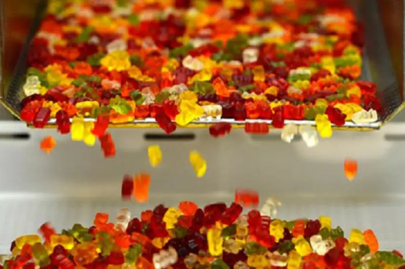 Производить мармелад планируют в Туркестанской области