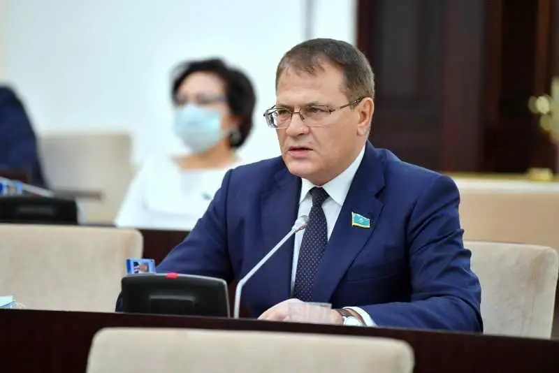 Tekserý komıssııalarynyń jumysynda zań talaptary buzylyp otyr - Andreı Lýkın