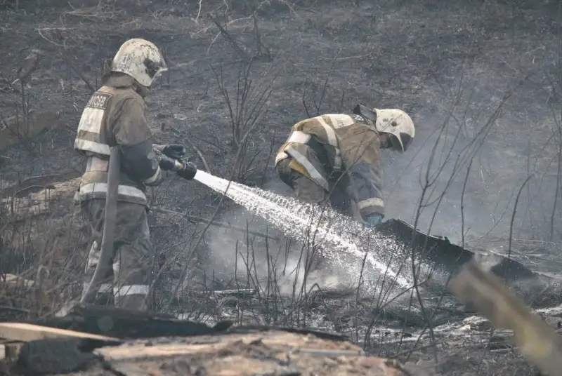 Из-за возгорания травы сгорел дом в Петропавловске