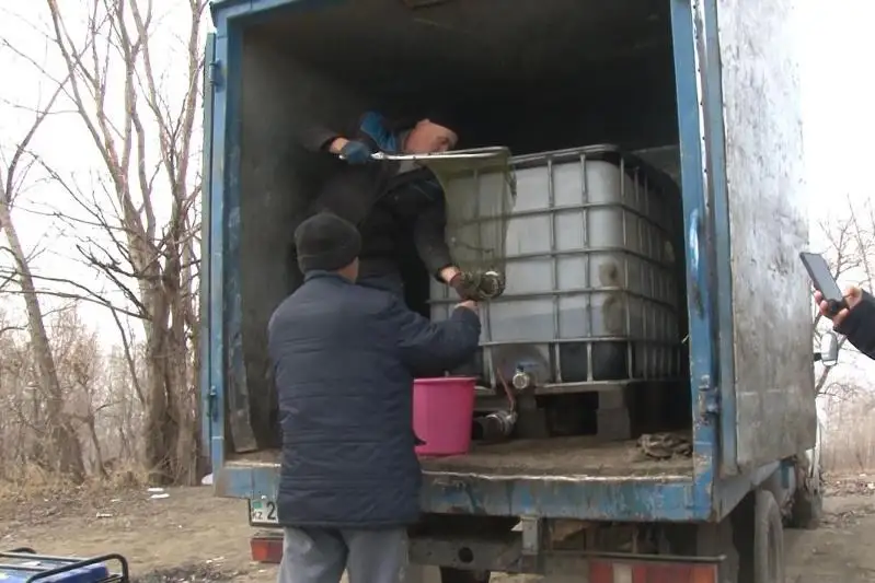 В Иртыш выпустили молодь осетровых в Павлодарской области