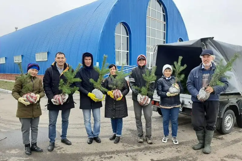 Общественный питомник деревьев развили экоактивисты в Павлодарской области