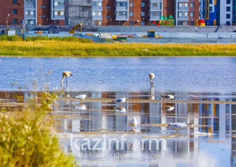 Что будет с озером Малый Талдыколь в Нур-Султане