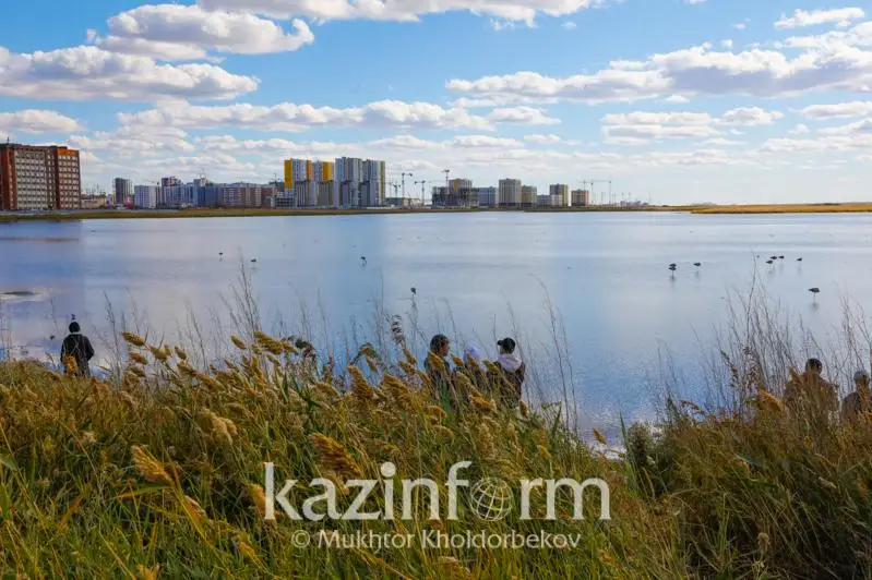 Сохранить или засыпать - какая судьба ждет озеро Малый Талдыколь