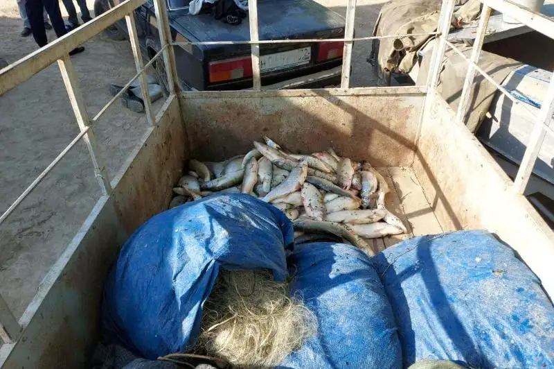 Браконьеров осудили в Туркестанской области