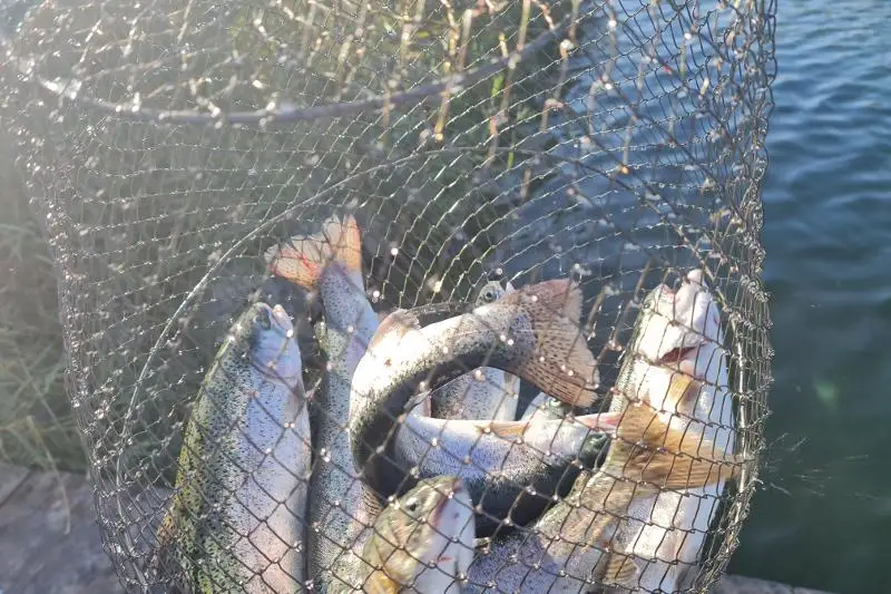 Рыбному хозяйству в регионе будет оказываться всяческая поддержка - аким Жамбылской области