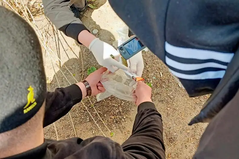 В Павлодарской области пресекли канал поставки марихуаны в колонию