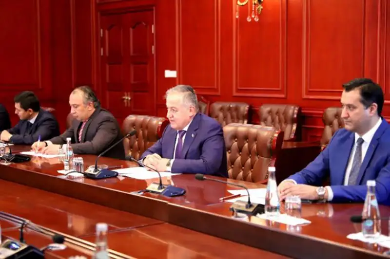 Глава МИД Таджикистана проинформировал ОБСЕ о тревожной ситуации на границе с Афганистаном