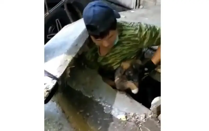 Спасение щенка из-под бетонных плит попало на видео в ВКО