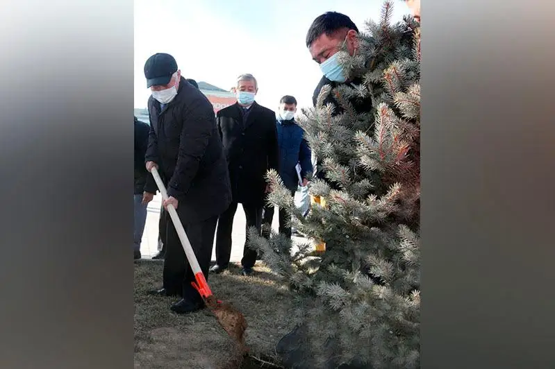 Tarazda Alǵys aıtý kúnine oraı 1 myń túp aǵash otyrǵyzyldy