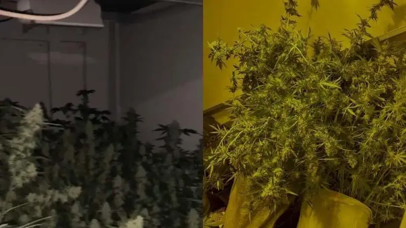 Нарколабораторию ликвидировали в ВКО