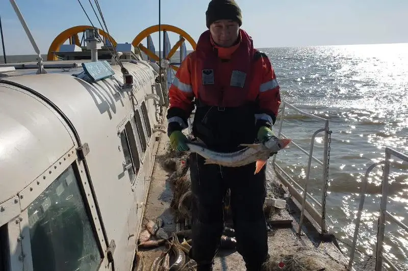 Пограничники проводят мероприятия по защите биоресурсов Каспийского моря