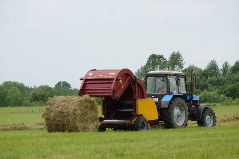 Планы по заготовке грубых кормов разработали в Павлодарской области