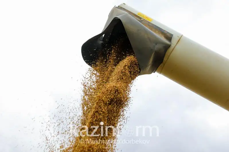 Принять конкретные меры по системной поддержке субъектов перерабатывающей отрасли АПК просят депутаты