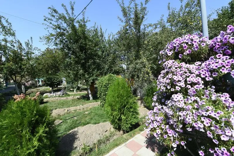 Самые зеленые дворы выбрали в Алматы