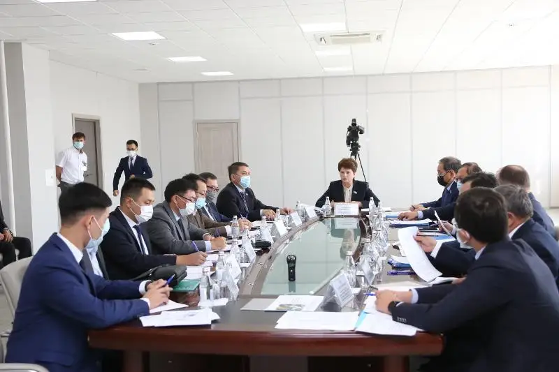 Сенаторы обсудили проблемы таможенного администрирования в Алматинской области