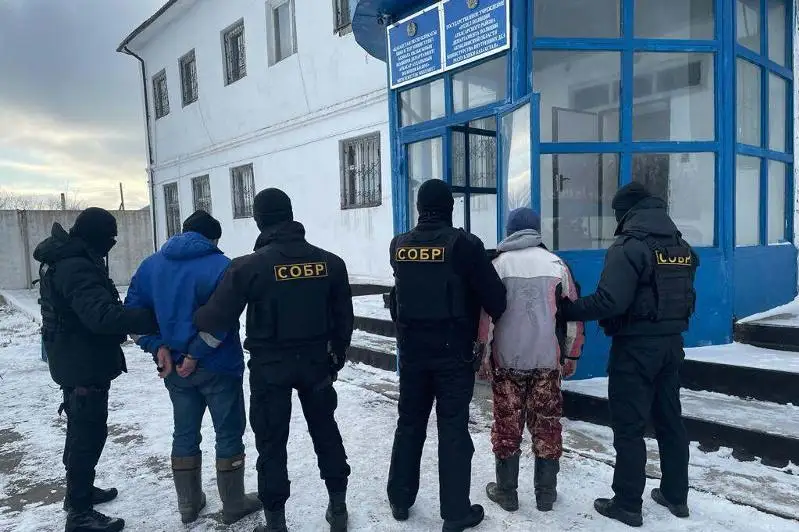 Укравших скот на 8,5 миллинов тенге задержали в Акмолинской области