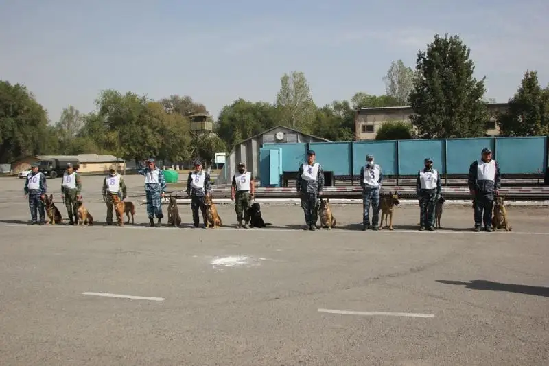 Республиканские соревнования по поиску наркотиков прошли в Кинологическом центре АФМ