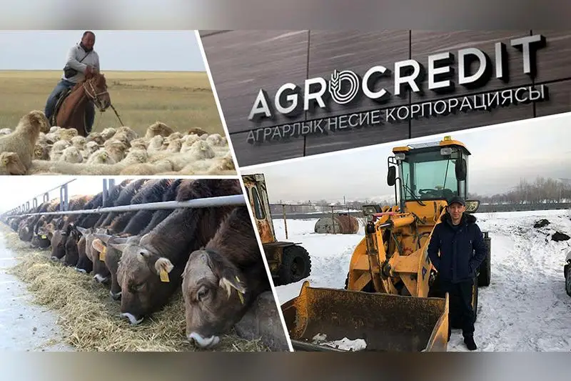ShQO-da jeńildetilgen nesıe berý arqyly jańa jumys oryndary ashylýda