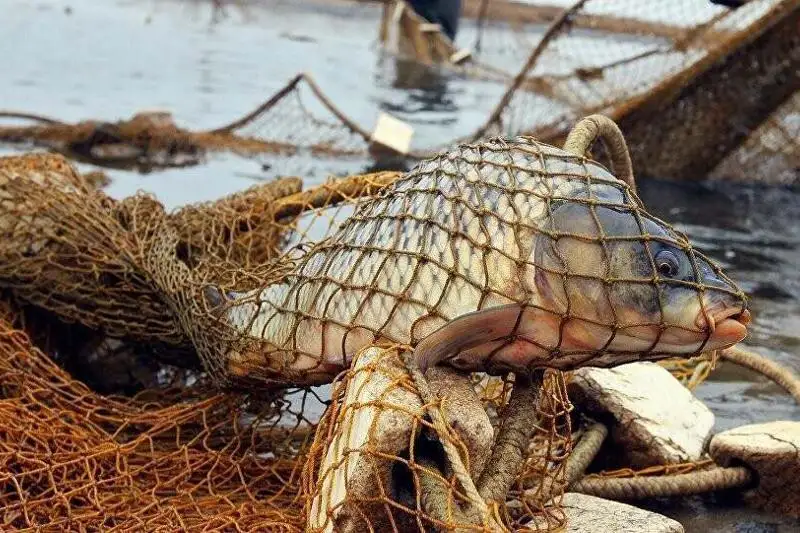 125 нарушений природоохранного законодательства выявлено в Актюбинской области