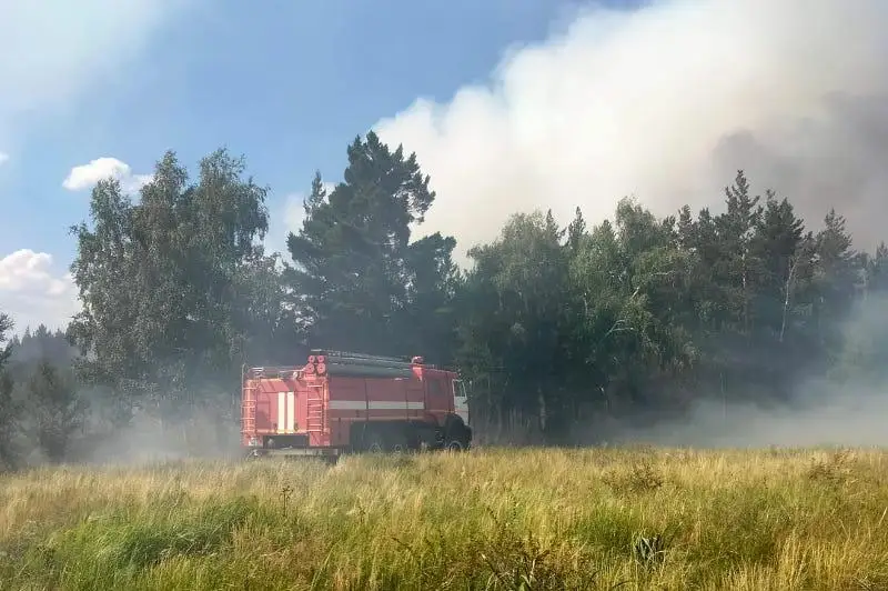 Из-за молнии произошел пожар в лесничестве в Акмолинской области