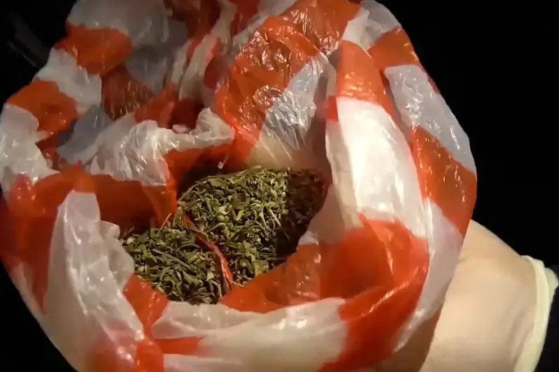 Более 260 наркопреступлений выявили в Туркестанской области с начала года