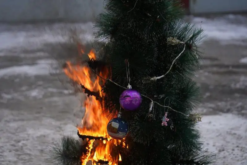 Пожарные в качестве эксперимента «подожгли» елку