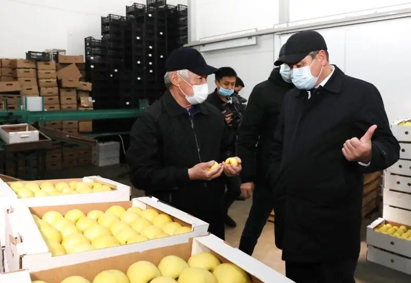 Бердибек Сапарбаев проверил обеспечение продбезопасности в Жамбылском районе