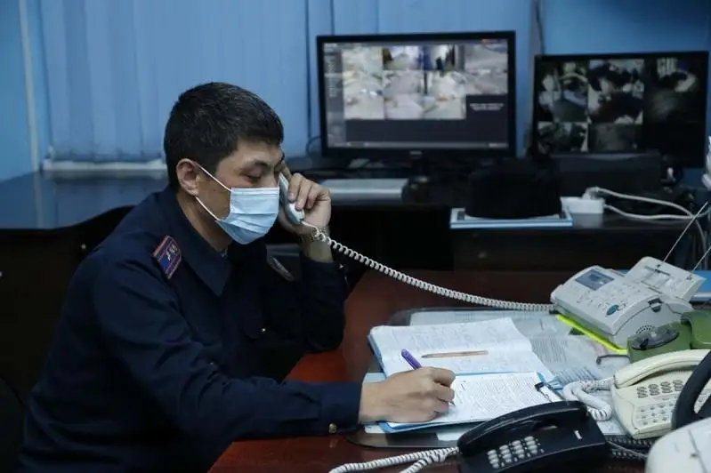 Очередного скотокрада арестовали в Туркестанской области