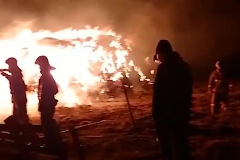 90 тонн сена сгорело в Павлодаре