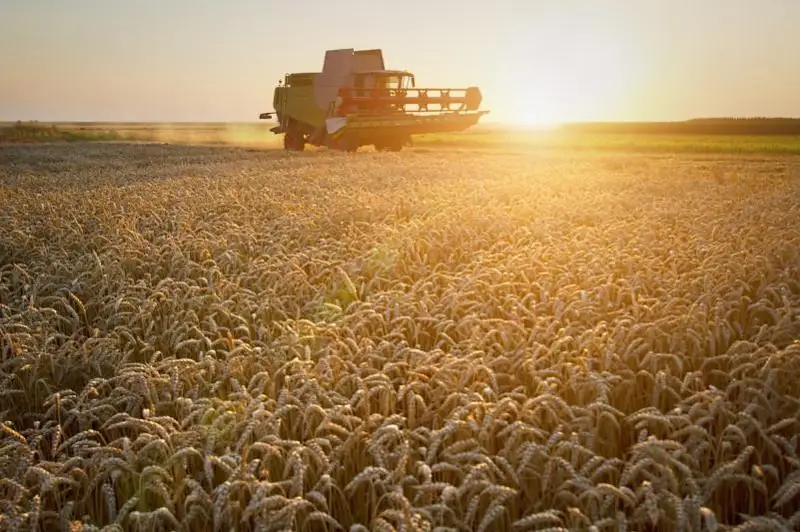 Агротехнологиями будут заниматься ученые США и СКО