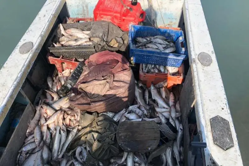 Десять уголовных дел возбуждено против браконьеров в Карагандинской области