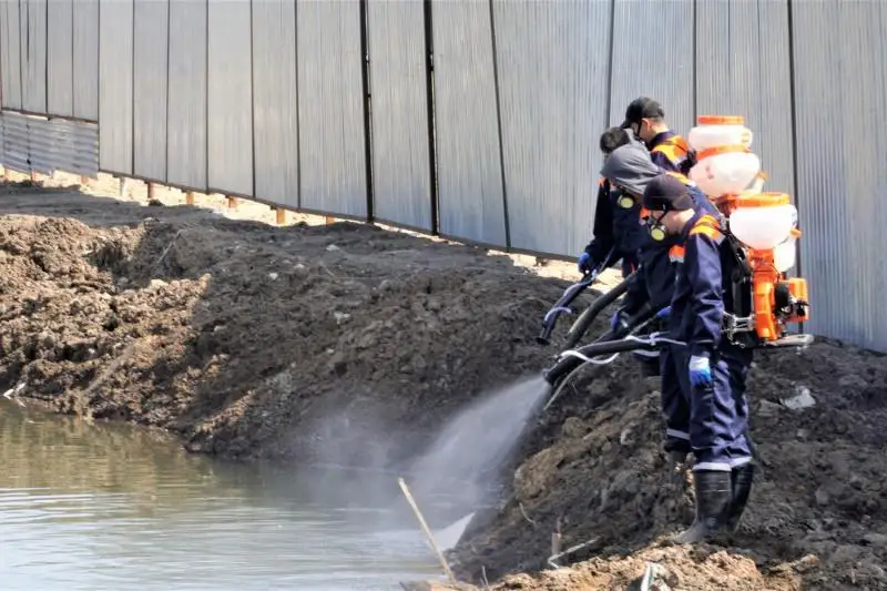 «Наша цель не уничтожить, а сократить количество комаров» – столичные дезинсекторы