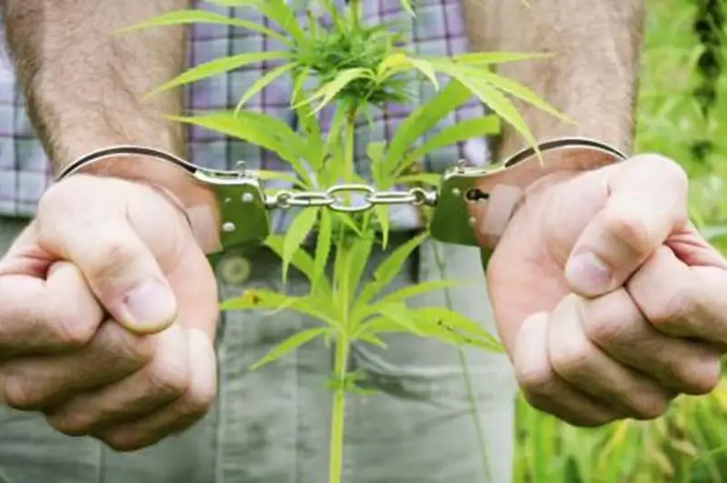 Житель Тараза задержан за хранение наркотиков в особо крупном размере